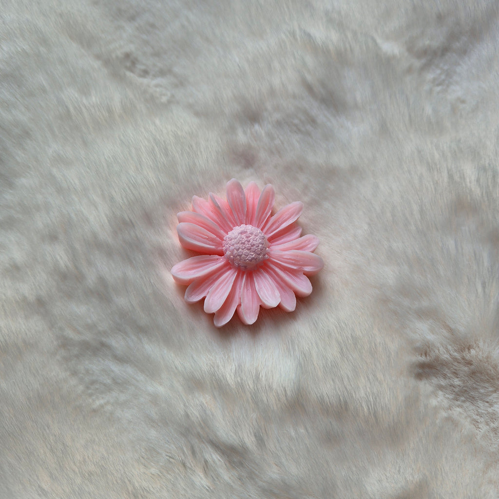 Marguerite colorée